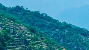 أفضل الوجهات لاكتشاف الطبيعة هذا الموسم