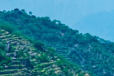 أفضل الوجهات لاكتشاف الطبيعة هذا الموسم